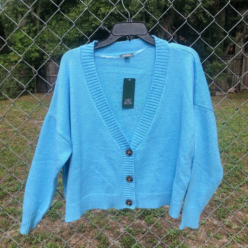 Wild Fable Light Blue Button-Front Cardigan